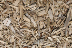 biomass boilers Cowie